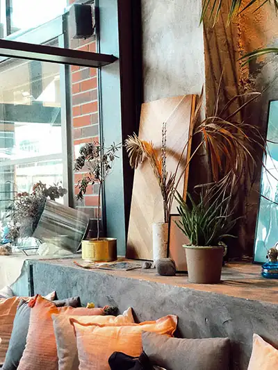 Vibrant greenery arranged by a clean glass window in a modern space, symbolizing the fresh clarity and growth provided by our website redesign services.
